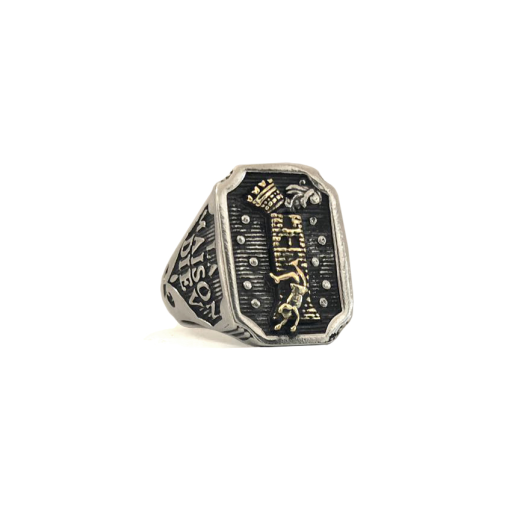 The Tower Tarot Ring - Bicolor