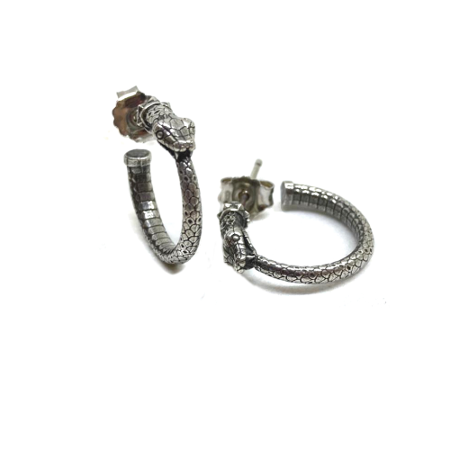 Ouroboros Snake Earrings